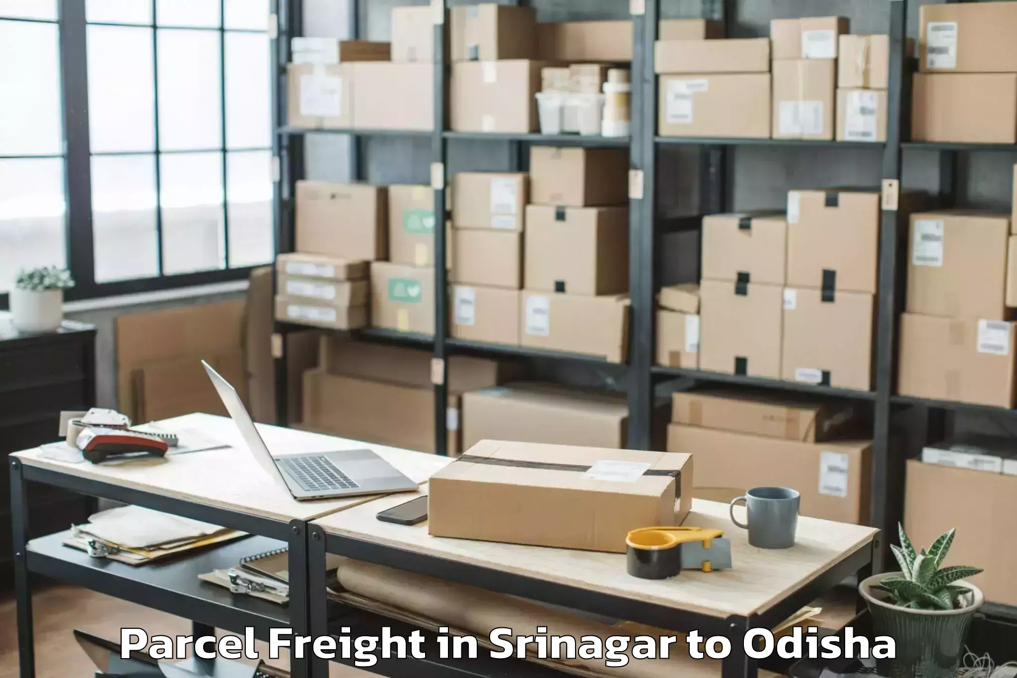 Leading Srinagar to Utkal Centre Point Mall Parcel Freight Provider